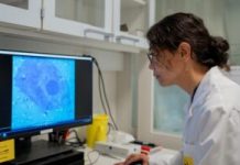 Biomimetic Nanoparticles Trigger Light Responses in Blind Mouse Retinas