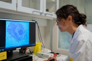 Biomimetic Nanoparticles Trigger Light Responses in Blind Mouse Retinas