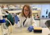 Micro-Bladder Model Demonstrates How Phage Therapy Could Help to Reduce Recurrent UTIs