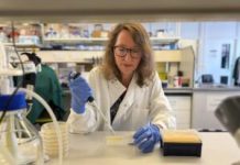 Micro-Bladder Model Demonstrates How Phage Therapy Could Help to Reduce Recurrent UTIs