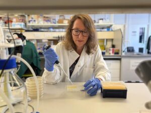 Micro-Bladder Model Demonstrates How Phage Therapy Could Help to Reduce Recurrent UTIs