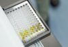Taiwanese Team Highlights Precision Indoxyl Sulfate Testing for Early CKD Management in Japan