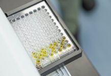 Taiwanese Team Highlights Precision Indoxyl Sulfate Testing for Early CKD Management in Japan