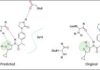 Tautomer-Predictor AI Tool Identifies Stable Molecules for Drug Discovery