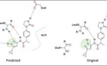 Tautomer-Predictor AI Tool Identifies Stable Molecules for Drug Discovery