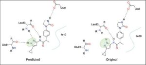 Tautomer-Predictor AI Tool Identifies Stable Molecules for Drug Discovery