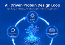 Tsingke Enables High-Throughput Validation of AI-Designed Proteins and Antibodies