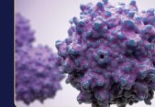 Building the Future of AAV Gene Therapy
