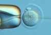 DNA Typewriter, PEtracer Map Mouse Development Through Organogenesis